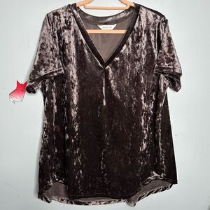 Amaryllis Crushed Velvet V-Neck T-Shirt Tee Top Taupe Brown Plus Size 2X